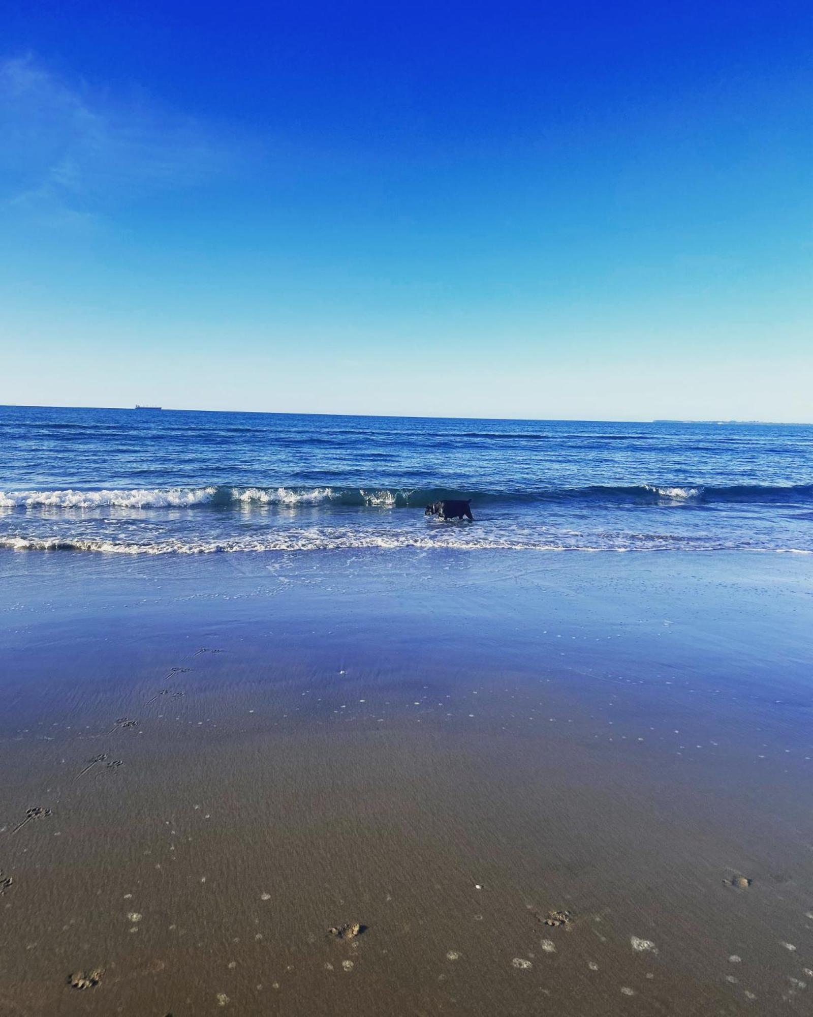 Beach Apartment Папамоа Екстер'єр фото